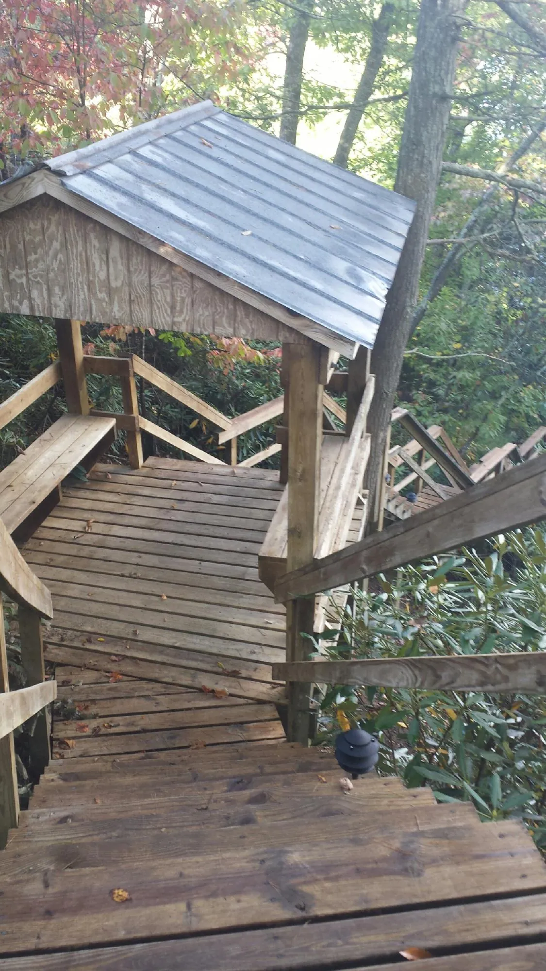 Metal roofed shelter over wooden steps on a wooded walkway — Skylight Repair & Installation work by our crew in Kinston