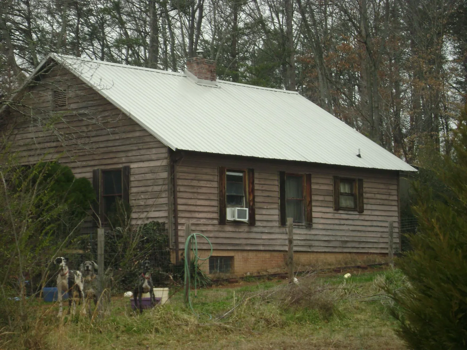 White metal roof on an old wood sided farmhouse, from a Asphalt Shingle Roof Repair job in Kinston